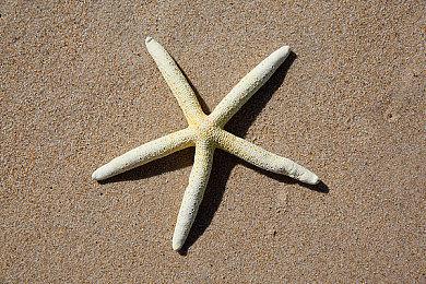 经典MOD重获新生 UE5版《噩梦之屋：重制版》公布